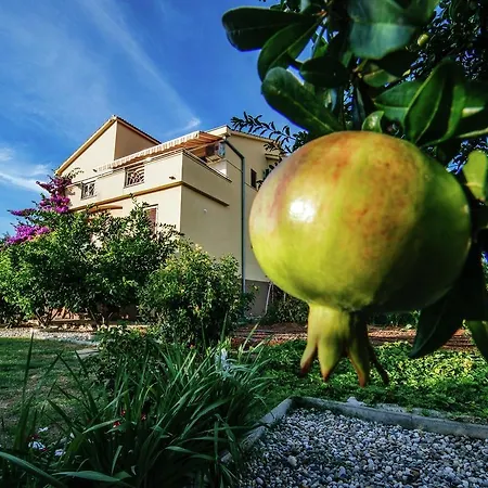 Apartment Biograd Apartman
