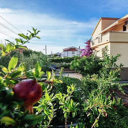 Apartment Biograd * Biograd Na Moru